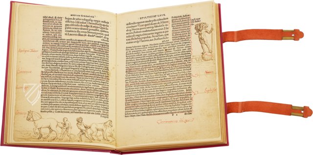 Erasmus von Rotterdam - Lob der Torheit – Henning Oppermann – 1662166 – Kunstmuseum Basel (Basel, Schweiz)