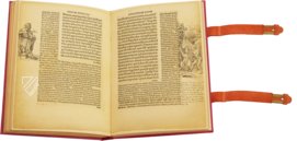 Erasmus von Rotterdam - Lob der Torheit – Henning Oppermann – 1662166 – Kunstmuseum Basel (Basel, Schweiz)