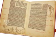 Erasmus von Rotterdam - Lob der Torheit – Henning Oppermann – 1662166 – Kunstmuseum Basel (Basel, Schweiz)