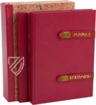 Erasmus von Rotterdam - Lob der Torheit – Henning Oppermann – 1662166 – Kunstmuseum Basel (Basel, Schweiz)