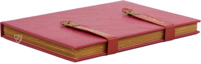 Erasmus von Rotterdam - Lob der Torheit – Henning Oppermann – 1662166 – Kunstmuseum Basel (Basel, Schweiz)