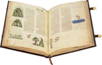 Falkenbuch Kaiser Friedrichs II. – Pal. Lat. 1071 – Biblioteca Apostolica Vaticana (Vaticanstadt, Vaticanstadt) Faksimile