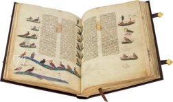 Falkenbuch Kaiser Friedrichs II. – Testimonio Compañía Editorial – Pal. Lat. 1071 – Biblioteca Apostolica Vaticana (Vatikanstadt, Vatikanstadt)