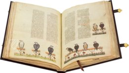 Falkenbuch Kaiser Friedrichs II. – Testimonio Compañía Editorial – Pal. Lat. 1071 – Biblioteca Apostolica Vaticana (Vatikanstadt, Vatikanstadt)