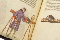 Falkenbuch Kaiser Friedrichs II. – Testimonio Compañía Editorial – Pal. Lat. 1071 – Biblioteca Apostolica Vaticana (Vatikanstadt, Vatikanstadt)