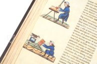 Falkenbuch Kaiser Friedrichs II. – Testimonio Compañía Editorial – Pal. Lat. 1071 – Biblioteca Apostolica Vaticana (Vatikanstadt, Vatikanstadt)