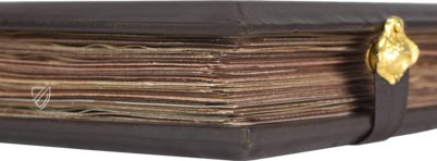 Falkenbuch Kaiser Friedrichs II. – Testimonio Compañía Editorial – Pal. Lat. 1071 – Biblioteca Apostolica Vaticana (Vatikanstadt, Vatikanstadt)