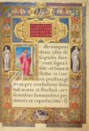 Farnese-Lektionar – Franco Cosimo Panini Editore – Ms. MA 91 (Towneley Lectionary) – Public Library (New York, USA)