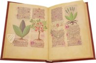 Faszination Heilpflanzen – Imago – Est. 28 = alfa M. 5. 9 – Biblioteca Estense Universitaria (Modena, Italien)