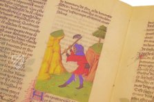 Faszination Heilpflanzen – Imago – Est. 28 = alfa M. 5. 9 – Biblioteca Estense Universitaria (Modena, Italien)