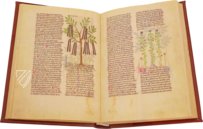 Faszination Heilpflanzen – Imago – Est. 28 = alfa M. 5. 9 – Biblioteca Estense Universitaria (Modena, Italien)