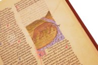 Faszination Heilpflanzen – Imago – Est. 28 = alfa M. 5. 9 – Biblioteca Estense Universitaria (Modena, Italien)