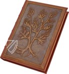 Faszination Heilpflanzen – Imago – Est. 28 = alfa M. 5. 9 – Biblioteca Estense Universitaria (Modena, Italien)