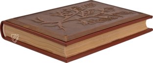 Faszination Heilpflanzen – Imago – Est. 28 = alfa M. 5. 9 – Biblioteca Estense Universitaria (Modena, Italien)