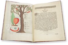 Flora Sinensis – 412 – Biblioteka Kórnicka (Kórnik, Polen) Faksimile