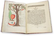 Flora Sinensis – Orbis Pictus – 412 – Biblioteka Kórnicka (Kórnik, Polen)