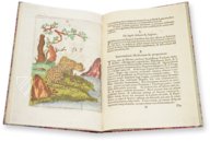 Flora Sinensis – Orbis Pictus – 412 – Biblioteka Kórnicka (Kórnik, Polen)