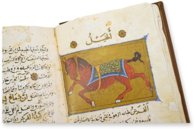 Franz von Assisi - Vom Umgang mit Tieren – AyN Ediciones – ms. árabe 898 – Real Biblioteca del Monasterio de San Lorenzo de El Escorial (San Lorenzo de El Escorial, Spanien)