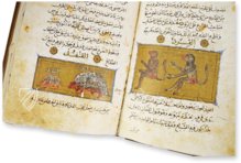 Franz von Assisi - Vom Umgang mit Tieren – AyN Ediciones – ms. árabe 898 – Real Biblioteca del Monasterio de San Lorenzo de El Escorial (San Lorenzo de El Escorial, Spanien)