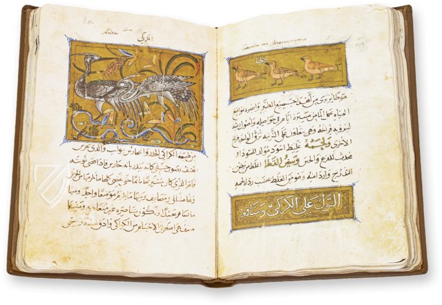 Franz von Assisi - Vom Umgang mit Tieren – Kaydeda Ediciones – ms. árabe 898 – Real Biblioteca del Monasterio de San Lorenzo de El Escorial (San Lorenzo de El Escorial, Spanien)