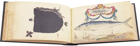 Freundschaftsalbum des Jacob Heyblocq – Waanders Printers – 131 H 26 – Koninklijke Bibliotheek Den Haag (Den Haag, Niederlande) Freundschaftsalbum des Jacob Heyblocq – Waanders Printers – 131 H 26 – Koninklijke Bibliotheek Den Haag (Den Haag, Niederlande)