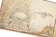 Freundschaftsalbum des Jacob Heyblocq – Waanders Printers – 131 H 26 – Koninklijke Bibliotheek Den Haag (Den Haag, Niederlande) Freundschaftsalbum des Jacob Heyblocq – Waanders Printers – 131 H 26 – Koninklijke Bibliotheek Den Haag (Den Haag, Niederlande)