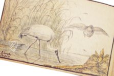 Freundschaftsalbum des Jacob Heyblocq – Waanders Printers – 131 H 26 – Koninklijke Bibliotheek Den Haag (Den Haag, Niederlande) Freundschaftsalbum des Jacob Heyblocq – Waanders Printers – 131 H 26 – Koninklijke Bibliotheek Den Haag (Den Haag, Niederlande)