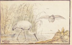 Freundschaftsalbum des Jacob Heyblocq – Waanders Printers – 131 H 26 – Koninklijke Bibliotheek Den Haag (Den Haag, Niederlande) Freundschaftsalbum des Jacob Heyblocq – Waanders Printers – 131 H 26 – Koninklijke Bibliotheek Den Haag (Den Haag, Niederlande)