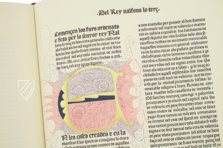 Furs e Ordinacions del Regne de Valencia – Vicent Garcia Editores – BH Inc. 014 – Biblioteca Històrica de la Universitat de València (Valencia, Spanien) Furs e Ordinacions del Regne de Valencia – Vicent Garcia Editores – BH Inc. 014 – Biblioteca Històrica de la Universitat de València (Valencia, Spanien)