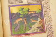 Gaston Phoebus - Das Buch der Jagd – Faksimile Verlag – M.1044 – Morgan Library & Museum (New York, USA)