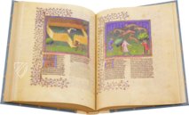 Gaston Phoebus - Das Buch der Jagd – Faksimile Verlag – M.1044 – The Morgan Library & Museum (New York, USA) Gaston Phoebus - Das Buch der Jagd – Faksimile Verlag – M.1044 – The Morgan Library & Museum (New York, USA)