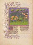 Gaston Phoebus - Das Buch der Jagd – Faksimile Verlag – M.1044 – The Morgan Library & Museum (New York, USA) Gaston Phoebus - Das Buch der Jagd – Faksimile Verlag – M.1044 – The Morgan Library & Museum (New York, USA)