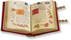Gebetbuch Kurfürst Maximilians I. von Bayern – Coron Verlag – Clm 23640 – Bayerische Staatsbibliothek (München, Deutschland)