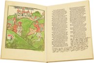 Geschichte Peter Hagenbachs und der Burgunderkriege – Müller & Schindler – Inc. 265 – Hofbibliothek Donaueschingen (Donaueschingen, Deutschland)