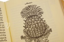 Geschichte über die Medizin des östlichen Indiens – Vicent Garcia Editores – E/268 – Biblioteca Histórico Médica de la Universidad de València (Valencia, Spanien)