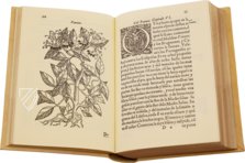 Geschichte über die Medizin des östlichen Indiens – Vicent Garcia Editores – E/268 – Biblioteca Historicomèdica de la Universitat de València (Valencia, Spanien) Geschichte über die Medizin des östlichen Indiens – Vicent Garcia Editores – E/268 – Biblioteca Historicomèdica de la Universitat de València (Valencia, Spanien)