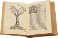 Geschichte über die Medizin des östlichen Indiens – Vicent Garcia Editores – E/268 – Biblioteca Historicomèdica de la Universitat de València (Valencia, Spanien) Geschichte über die Medizin des östlichen Indiens – Vicent Garcia Editores – E/268 – Biblioteca Historicomèdica de la Universitat de València (Valencia, Spanien)
