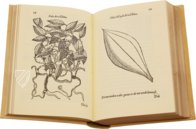 Geschichte über die Medizin des östlichen Indiens – Vicent Garcia Editores – E/268 – Biblioteca Historicomèdica de la Universitat de València (Valencia, Spanien) Geschichte über die Medizin des östlichen Indiens – Vicent Garcia Editores – E/268 – Biblioteca Historicomèdica de la Universitat de València (Valencia, Spanien)