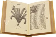 Geschichte über die Medizin des östlichen Indiens – Vicent Garcia Editores – E/268 – Biblioteca Historicomèdica de la Universitat de València (Valencia, Spanien) Geschichte über die Medizin des östlichen Indiens – Vicent Garcia Editores – E/268 – Biblioteca Historicomèdica de la Universitat de València (Valencia, Spanien)