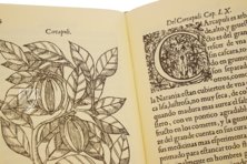 Geschichte über die Medizin des östlichen Indiens – Vicent Garcia Editores – E/268 – Biblioteca Historicomèdica de la Universitat de València (Valencia, Spanien) Geschichte über die Medizin des östlichen Indiens – Vicent Garcia Editores – E/268 – Biblioteca Historicomèdica de la Universitat de València (Valencia, Spanien)