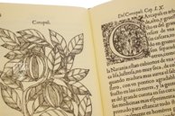 Geschichte über die Medizin des östlichen Indiens – Vicent Garcia Editores – E/268 – Biblioteca Historicomèdica de la Universitat de València (Valencia, Spanien) Geschichte über die Medizin des östlichen Indiens – Vicent Garcia Editores – E/268 – Biblioteca Historicomèdica de la Universitat de València (Valencia, Spanien)