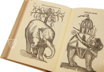 Geschichte über die Medizin des östlichen Indiens – Vicent Garcia Editores – E/268 – Biblioteca Historicomèdica de la Universitat de València (Valencia, Spanien) Geschichte über die Medizin des östlichen Indiens – Vicent Garcia Editores – E/268 – Biblioteca Historicomèdica de la Universitat de València (Valencia, Spanien)