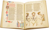 Göttliche Komödie - Codex Altonensis – Gebr. Mann Verlag – Bibliothek des Gymnasiums Christaneum (Hamburg, Deutschland)