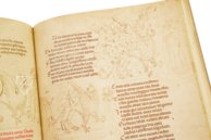 Göttliche Komödie - Codex Altonensis – Gebr. Mann Verlag – Bibliothek des Gymnasiums Christaneum (Hamburg, Deutschland)