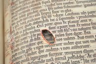 Goslarer Evangeliar – Akademische Druck- u. Verlagsanstalt (ADEVA) – Hs. B 4387 – Stadtarchiv Goslar (Goslar, Deutschland) Goslarer Evangeliar – Akademische Druck- u. Verlagsanstalt (ADEVA) – Hs. B 4387 – Stadtarchiv Goslar (Goslar, Deutschland)