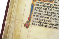 Goslarer Evangeliar – Akademische Druck- u. Verlagsanstalt (ADEVA) – Hs. B 4387 – Stadtarchiv Goslar (Goslar, Deutschland) Goslarer Evangeliar – Akademische Druck- u. Verlagsanstalt (ADEVA) – Hs. B 4387 – Stadtarchiv Goslar (Goslar, Deutschland)