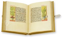 Grandes Heures der Anne de Bretagne – Club Bibliófilo Versol – Lat. 9474 – Bibliothèque nationale de France (Paris, Frankreich)