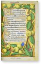 Grandes Heures der Anne de Bretagne – M. Moleiro Editor – Lat. 9474 – Bibliothèque nationale de France (Paris, Frankreich)