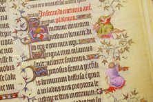 Grandes Heures du Duc de Berry – Patrimonio Ediciones – Ms. Lat. 919|R.F. 2835 – Bibliothèque nationale de France (Paris, Frankreich)