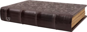 Great Domesday Book – Alecto Historical Editions – E 31/2/1 and E 31/2/2 – The National Archives (London, Vereinigtes Königreich)